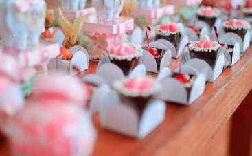 Какао и шоколад влияют на мозг ребенка: ученые рассказали, как именно