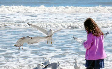 11-летняя девочка спасла акулу, которая застряла на побережье (фото)