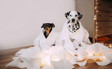 Неожиданные способы использования бумажных полотенец