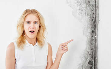 5 способов убрать плесень со стен