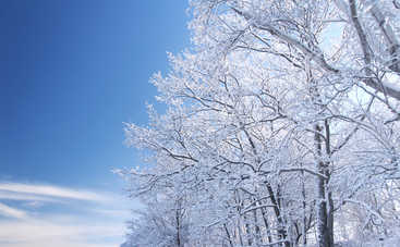 Гороскоп на 11 декабря 2020 для всех знаков Зодиака