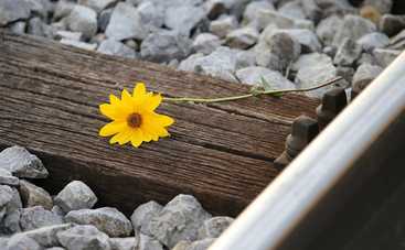 На Закарпатье скончался 2-летний ребенок, упавший накануне в воду на базе отдыха