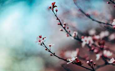 Гороскоп на 7 марта 2021 для всех знаков Зодиака