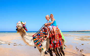 Отдых в Египте с детьми: топ-10 семейных отелей  - выбор экспертов