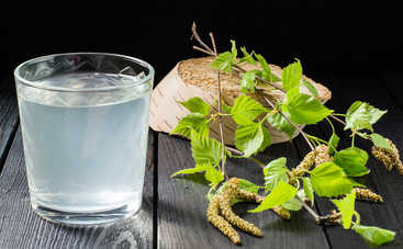 Березовый сок: как собирать и в чем польза этого напитка