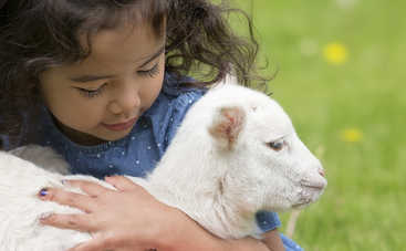 ТОП-10 мест в Киеве и под Киевом, где дети могут пообщаться с животными