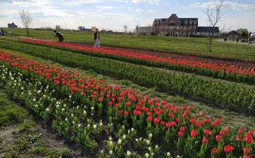 «Добропарк»-2021: как добраться, что посмотреть – отзыв редакции