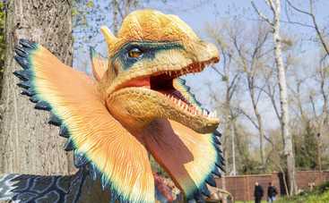 Куда пойти с детьми в Киеве на выходных 8-10 мая