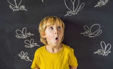 Как защитить ребенка от насекомых: советы педиатра