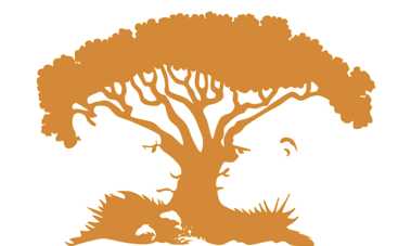 Тест по картинке: какая вы личность?