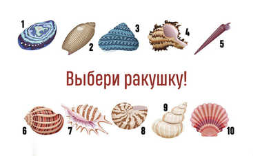 Тест: выберите ракушку и узнайте кое-что интересное о себе