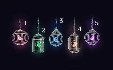 Тест по картинке: что вы контролируете в жизни?