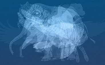 Тест: насколько вы уверены в себе