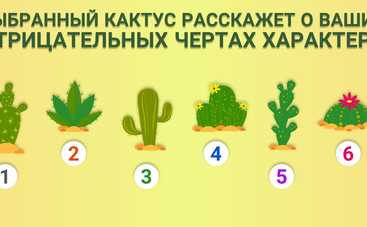 Тест по картинке: какие у вас есть негативные качества?