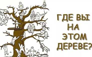 Тест: где вы сейчас и где хотели бы быть