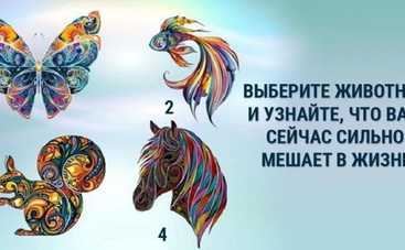 Тест по картинке: что вам мешает в жизни?