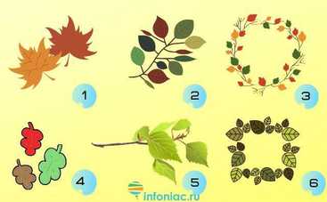 Тест по картинке: что ваш ждет этой осенью?