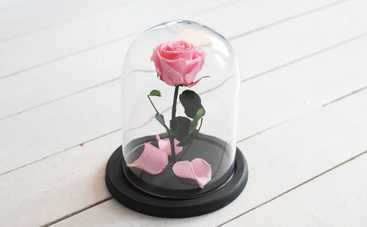 Вечная роза: как сделать трендовое украшение для дома своими руками