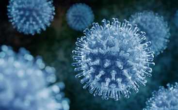 Какие штаммы гриппа будут в этом году: данные Минздрава