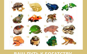 Тест по картинке: какой источник вашего богатства?