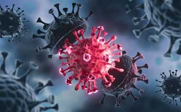 2 причины, почему не надо проверять уровень антител к ковид-19: ученый