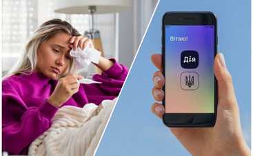 Ковидный паспорт переболевшего: как получить и сколько действует?