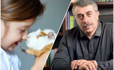 Какие домашние питомцы опасны для детей? Ответ доктора Комаровского