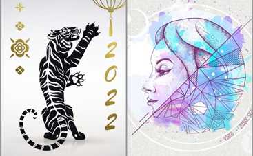 Гороскоп на 2022 год Тигра для Девы