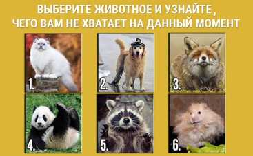 Тест по картинке: чего вам сейчас не хватает?