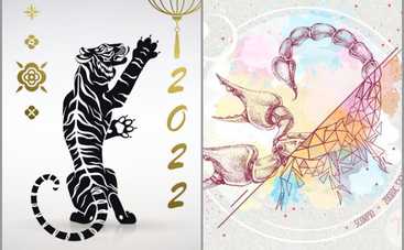Гороскоп на 2022 год Тигра для Скорпиона