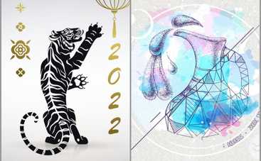 Гороскоп на 2022 год Тигра для Водолея