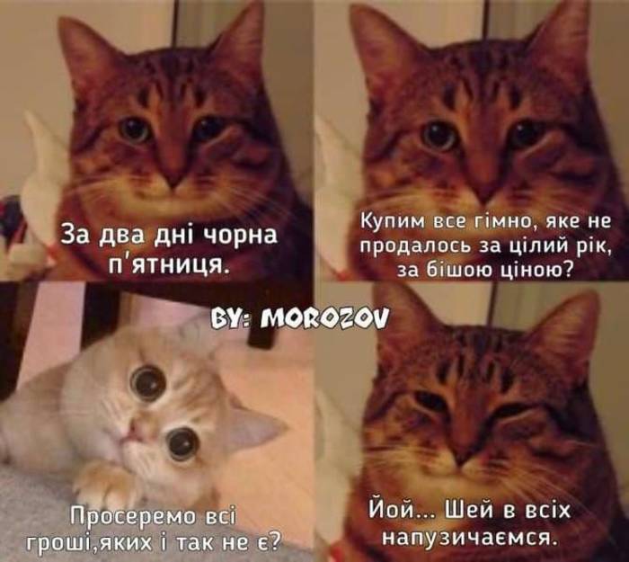 В точку/Фотоapostrophe.ua