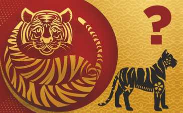 Восточный гороскоп на 2022 год для Тигра