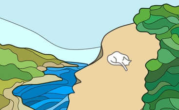 Что вы увидели первым: 4 коротких теста по картинкам