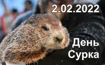 День сурка 2022: все, что вы не знали об этом празднике