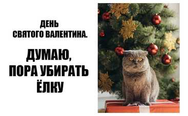 День влюбленных: 20 лучших мемов и фотожаб на тему праздника