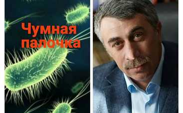 Грозит ли Украине чума: отвечает доктор Комаровский