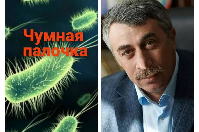 Чи загрожує Україні чума: відповідає лікар Комаровський