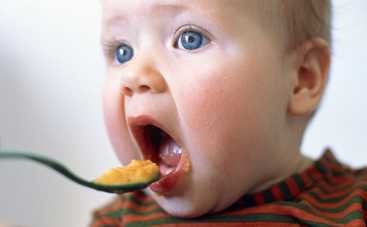 Вводим в рацион новую пищу