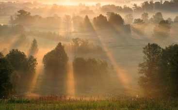 В країні сонячних зайчиків. Розділ №4 – Несподіванка