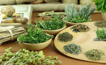 Полезные травы, свойства которых могут неприятно удивить