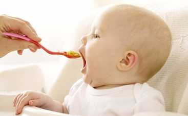 Когда ребенку можно давать желток: 4 правила первого прикорма