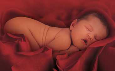 Детский фотограф нашла героев своих снимков через 20 лет (фото)