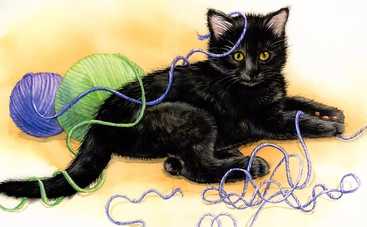 Українські мультфільми. Ниточка та Кошеня