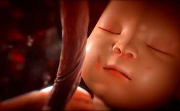 Видео, которое потрясло мир: 9 месяцев беременности за 4 минуты