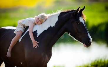 Волшебное лечение лошадьми