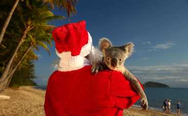 Традиции Нового года и Рождества. Австралия