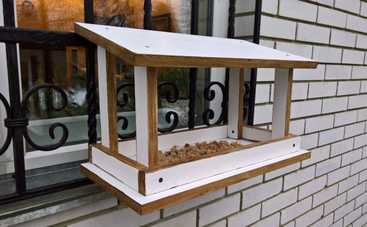 Развиваемся весело: мастерим оконную кормушку для птиц