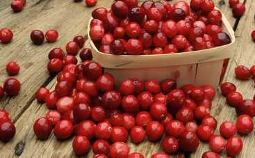 Клюква: природный лекарь или возбудитель болезней?