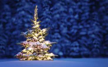 Різдвяні казки: Різдво Ялиночки (аудіоказка)